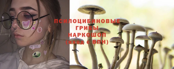 спайс Алексин